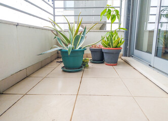 Serene balcony scene with potted succulents and a small figurine.  Perfect for home decor, real...
