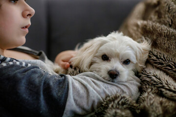 Sad eenager boy and cute maltese puppy together. Tired sick child holding his dog at home, hugging....