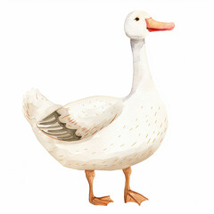 Watercolor white goose, character design of a silly goose, vintage style