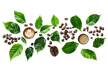 Coffee Bean and Latte Art: A visual delight showcasing the journey from bean to cup, with fresh coffee beans, green leaves, and a beautifully crafted latte art,  captured in a flat lay composition.  