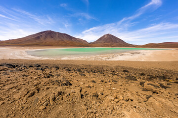 Panorama with a few hundred James and Chilean flamingos in the Canapa Lagoon in the Andes mountain range near the Uyuni salt flat, Bolivia.