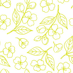 Seamless pattern with leaves and flowers of jasmine. Hand drawn vector illustration.