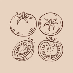 Set of tomato. Hand drawn vector illustration in outline style.