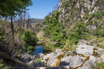 June 2024, the once gorgeous area around the waterfall of Drimonas river in North Evia, with many burnt trees, three years after the disastrous wildfires of August 2021