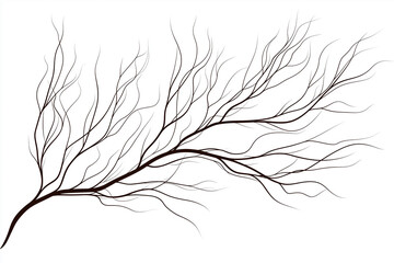 Obraz premium Elegant minimalist line art of branches isolated on white background for modern decor or artistic projects