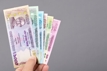 Bangladeshi money in the hand on a gray background