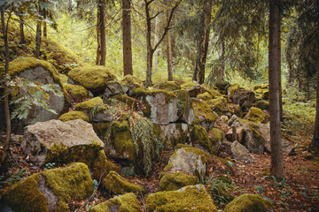 Plakat mat