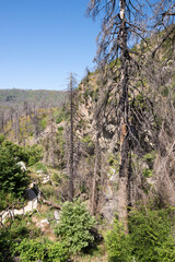 June 2024, the once gorgeous area around the waterfall of Drimonas river in North Evia, with many...