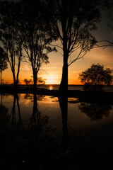 Obraz premium Sunset over a lake, Waranga Basin, Waranga Shores, Victoria, Australia; trees and their reflections in the water puddles at foreground.