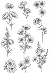 Elegant Set of Black and White Floral Designs, Perfect for Greeting Cards, Invitations, and Wall Art – High-Resolution Stock Images