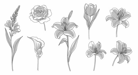 Elegant Set of Black and White Floral Designs, Perfect for Greeting Cards, Invitations, and Wall Art – High-Resolution Stock Images
