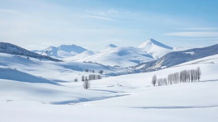 Fototapeta premium Serene snowy valley landscape showcasing majestic mountains and gentle slopes under a clear winter sky