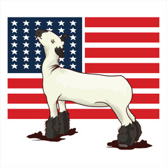 lamb livestock show with american flag flying