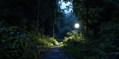 Nighttime Forest Path with Artificial Light Source