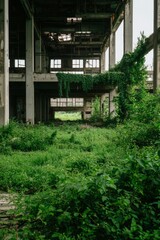 Overgrown Ruins Reclaimed By Nature