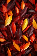 Autumnal Leaves in Red Orange and Maroon Hues