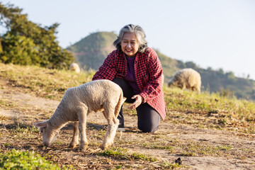 A senior woman in a red plaid jacket kneels on a hillside, joyfully interacting with a young lamb. 