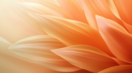 Close-up of a flower petal. the petal is a vibrant orange color and has a smooth texture. the center of the petal has a pointed tip, which is a light beige color.