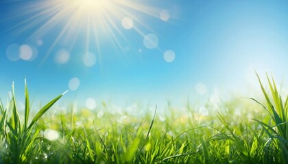 Obraz premium A picturesque spring meadow bathed in sunlight, featuring lush green grass and a clear blue sky. An abstract background with soft light bokeh and ample space for text.