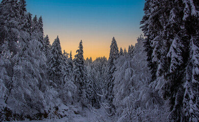 Fototapety na wymiar - Fototapeta24.pl