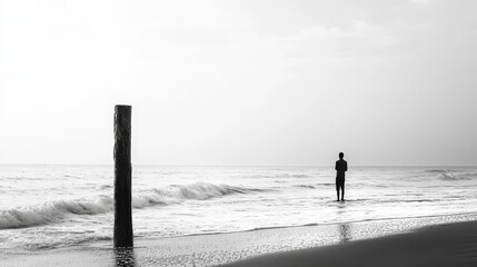 A local fisherman stands on a wooden pole on a beach in Sri Lanka, facing the Indian Ocean.