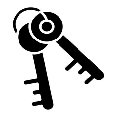 Security Key Icon