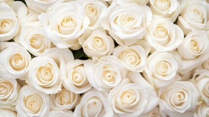 A stunning display of white roses, symbolizing purity and elegance, arranged beautifully for a fresh and romantic ambiance.