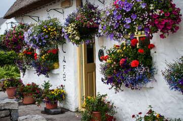 Colorful hanging flower baskets decorate the white wall of a cafe on the island of Inishmore, one...