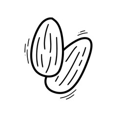 Hand Drawn Almond Illustration. Doodle Vector. Isolated on White Background - EPS 10 Vector