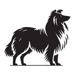 Detailed Shetland Sheepdog silhouette emphasizing its furry mane - Shetland Sheepdog illustration - minimal Shetland Sheepdog vector - dog silhouette
