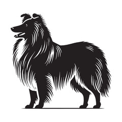 Shetland Sheepdog silhouette crafted with attention to fine details - Shetland Sheepdog illustration - minimal Shetland Sheepdog vector - dog silhouette
