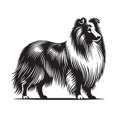 Shetland Sheepdog silhouette designed for pet branding and logos - Shetland Sheepdog illustration - minimal Shetland Sheepdog vector - dog silhouette
