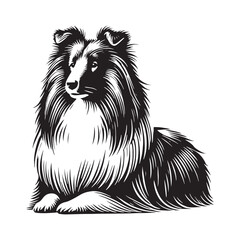 Distinct Shetland Sheepdog silhouette emphasizing its elegant shape - Shetland Sheepdog illustration - minimal Shetland Sheepdog vector - dog silhouette
