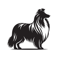 Stylish Shetland Sheepdog silhouette with a balanced composition - Shetland Sheepdog illustration - minimal Shetland Sheepdog vector - dog silhouette
