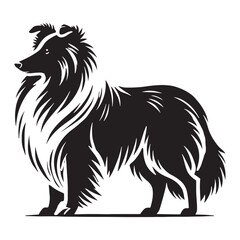 Modern Shetland Sheepdog silhouette with a clean, sharp outline - Shetland Sheepdog illustration - minimal Shetland Sheepdog vector - dog silhouette
