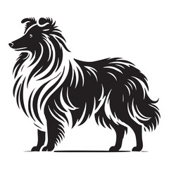 Bold Shetland Sheepdog silhouette for versatile and timeless design - Shetland Sheepdog illustration - minimal Shetland Sheepdog vector - dog silhouette
