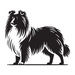Well-defined Shetland Sheepdog silhouette capturing its natural poise - Shetland Sheepdog illustration - minimal Shetland Sheepdog vector - dog silhouette
