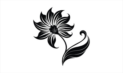 Fototapeta premium Elegant black flower with single leaf.