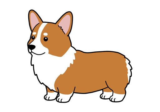 recommend clip art: Clip art corgi. This image shows a cute corgi dog with a white and brown coat. Vector illustration design.