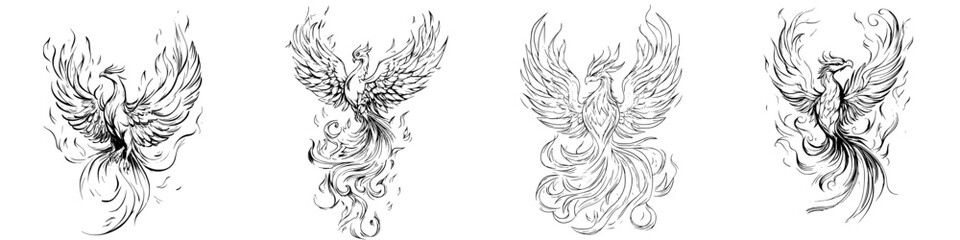 Obraz premium Four intricate sketches of phoenixes rising from flames in a stylized artistic representation