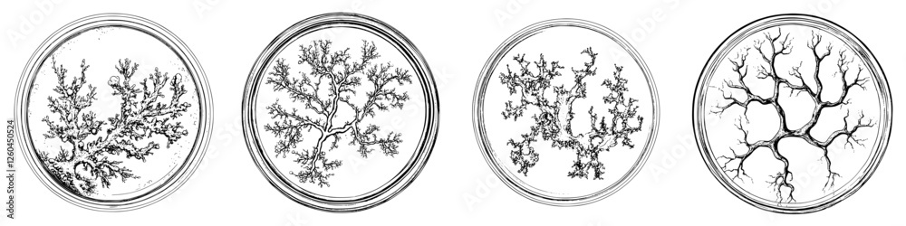 Fototapete hand-drawn vector illustration of intricate organic structures resembling coral and trees with uniqu