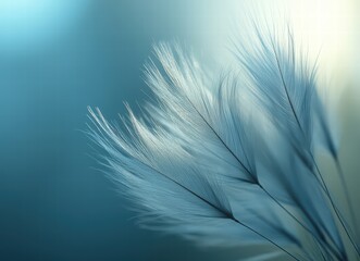 Obraz premium Beautiful close-up of a dandelion, a spring abstract nature wallpaper. dandelion with water drops on a blue-green background, macro photograph. 