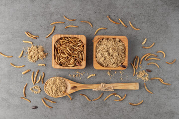 Edible mealworms and flour in wooden bowls and spoon on grey granite table. Meal worm or larvae of cereal beetle as protein ingredient