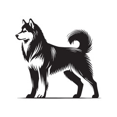 High-quality Siberian Husky silhouette showcasing its iconic stance - Siberian Husky illustration - minimal Siberian Husky vector - dog silhouette
