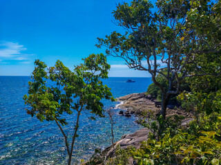 Obraz premium On the green island and boat on the blue sea.