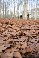 High-Quality Images of Girona: Cityscape & Parks, city of Girona Catalonia