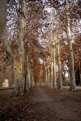 High-Quality Images of Girona: Cityscape & Parks, city of Girona Catalonia