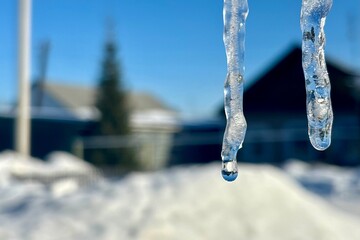Melting icicle close-up against the background of houses. Seasonal transition. Hello spring concept.