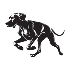 Dynamic Vizsla silhouette with motion and artistic precision - Vizsla illustration - minimal Vizsla vector - dog silhouette
