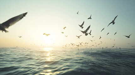 Low Angle View of Birds Flying Against Clear Blue Sky